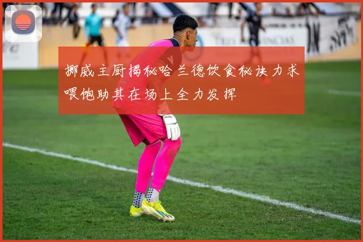 挪威主厨揭秘哈兰德饮食秘诀力求喂饱助其在场上全力发挥