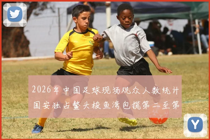 2026年中国足球现场观众人数统计国安独占鳌头梭鱼湾包揽第二至第七位